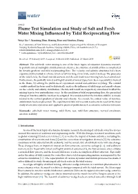 Flume Test Simulation and Study of Salt and Fresh Water Mixing Inﬂuenced by Tidal Reciprocating Flow