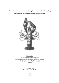 Growth and Macronutritional Requirements of Signal Crayfish, Pacifastacus Leniusculus (Dana) in Aquaculture