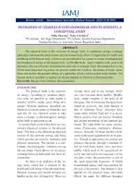 Mechanism of Chakras in Suryanamaskar and Its