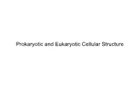 Prokaryotic and Eukaryotic Cellular Structure Prokaryotic & Eukaryotic Cells: an Overview