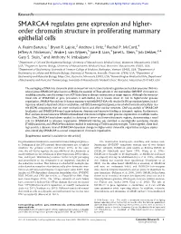 SMARCA4 Regulates Gene Expression and Higher-Order Chromatin Structure in Proliferating Mammary Epithelial Cells