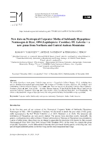 New Data on Neotropical Carpenter Moths of Subfamily Hypoptinae Neumoegen & Dyar, 1894 (Lepidoptera: Cossidae)