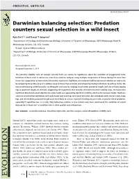 Predation Counters Sexual Selection in a Wild Insect