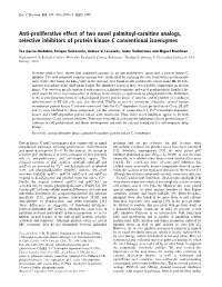 Antiproliferative Effect of Two Novel Palmitoylcarnitine Analogs