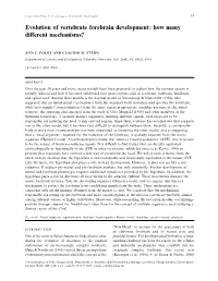 Evolution of Vertebrate Forebrain Development: How Many Different