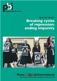 Special Report on Impunity