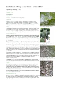 Spiralling Whitefly (025)