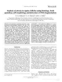 Analysis of Atresia in Equine Follicles Using Histology, Fresh Granulosa Cell Morphology and Detection of DNA Fragmentation H
