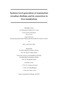 Systems Level Generation of Mammalian Circadian Rhythms and Its Connection to Liver Metabolism
