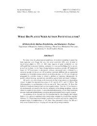 What Do Plants Need Action Potentials For?