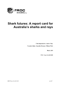 A Report Card for Australia's Sharks and Rays