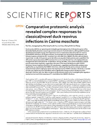 Comparative Proteomic Analysis Revealed Complex Responses To