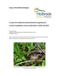 Frog Project Report 2012/13