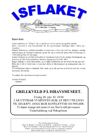 Isflaket2003 02