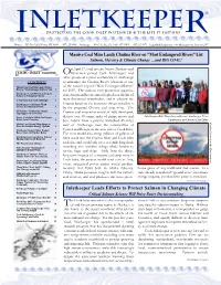 Automated PDF File