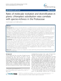 Rates of Molecular Evolution and Diversification in Plants: Chloroplast