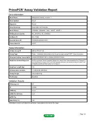 Primepcr™Assay Validation Report