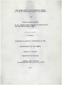 Development of the Vascular System in Five to Twenty-One