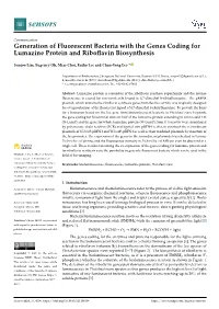 Generation of Fluorescent Bacteria with the Genes Coding for Lumazine Protein and Riboﬂavin Biosynthesis