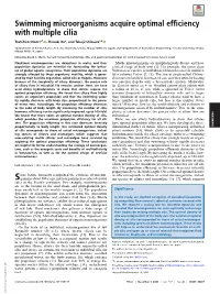 Swimming Microorganisms Acquire Optimal Efficiency with Multiple Cilia