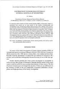 Contribution to Knowledge of Female Internal Genitalia of Neuroptera