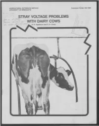 Stray Voltage Problems with Dairy Cows