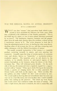 Was the Biblical Manna an Animal Product?