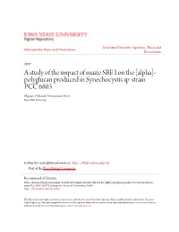 A Study of the Impact of Mazie SBE I on the [Alpha]-Polyglucan Produced in Synechocystis Sp
