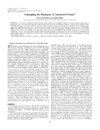Amoebae and Amoeboid Protists Form a Large and Diverse Assemblage of Eukaryotes Characterized by Various Types of Pseudopodia