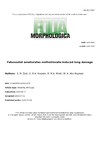 Febuxostat Ameliorates Methotrexate-Induced Lung Damage