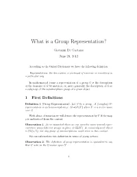 What Is a Group Representation?