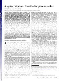 Adaptive Radiations: from Field to Genomic Studies