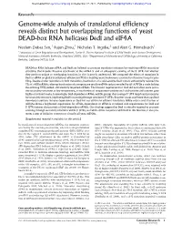 Genome-Wide Analysis of Translational Efficiency Reveals Distinct but Overlapping Functions of Yeast DEAD-Box RNA Helicases Ded1 and Eif4a