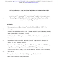 In-Cell Architecture of an Actively Transcribing-Translating Expressome