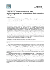 Type of the Paper (Article
