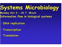 Ch 7 -Brock Information Flow in Biological Systems