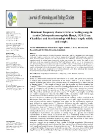 Dominant Frequency Characteristics of Calling Songs in Cicada