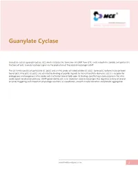 Guanylate Cyclase