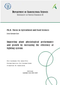 Improving Plant Physiological Performance and Growth by Increasing the Efficiency of Lighting Systems