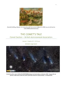 The Comet's Tale, and Therefore the Object As a Whole Would the Section Director Nick James Highlighted Have a Low Surface Brightness