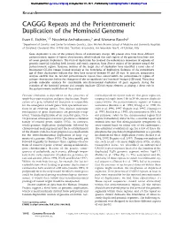 CAGGG Repeats and the Pericentromeric Duplication of the Hominoid Genome