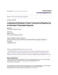 Computational Modelling of Human Transcriptional Regulation by an Information Theory-Based Approach
