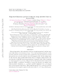 Magnetized Filamentary Gas Flows Feeding the Young Embedded