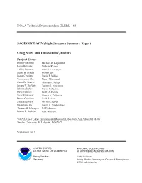 SAGINAW BAY Multiple Stressors Summary Report
