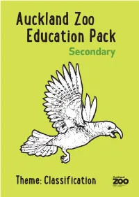 Secondary Zoo Lesson Plan
