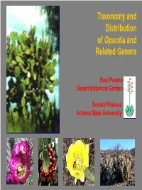 Taxonomy and Distribution of Opuntia and Related Plants