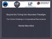 Mermillod-Current Challenge in Computational Neuroscience
