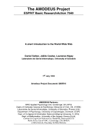 The AMODEUS Project ESPRIT Basic Researchaction 7040