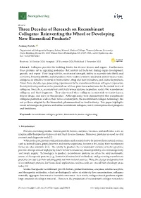 Three Decades of Research on Recombinant Collagens: Reinventing the Wheel Or Developing New Biomedical Products?