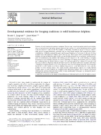 Developmental Evidence for Foraging Traditions in Wild Bottlenose Dolphins